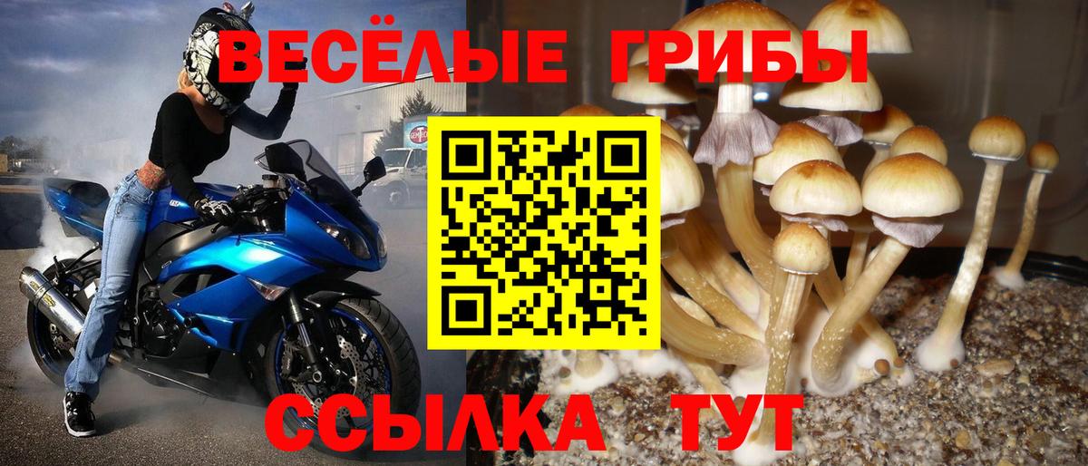 Галлюциногенные грибы мицелий  Вход с VPN  Гусиноозёрск 